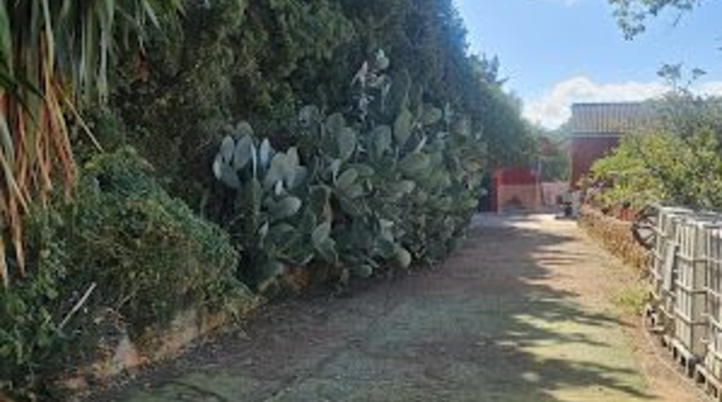Illes Balears - Algaida - 3460m2