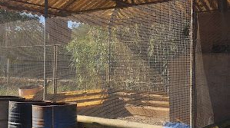 Illes Balears - Algaida - 3460m2