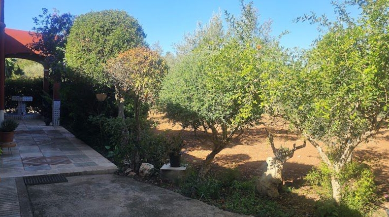 Illes Balears - Algaida - 3460m2
