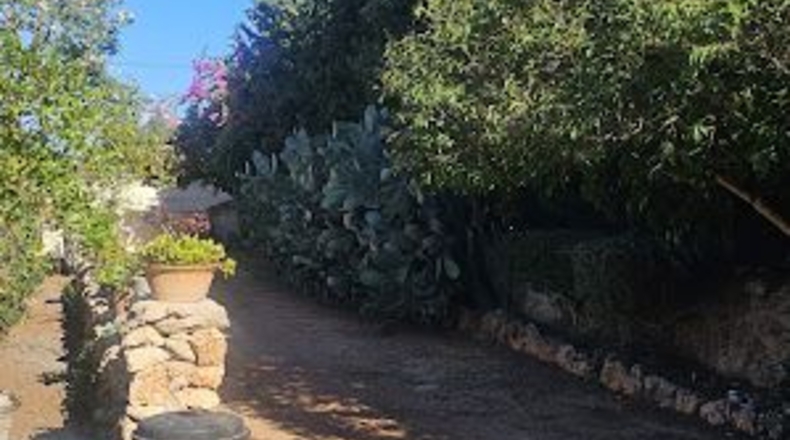 Illes Balears - Algaida - 3460m2