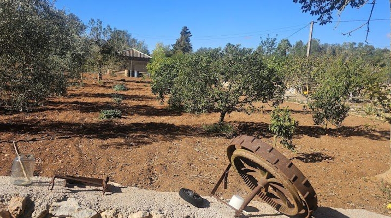 Illes Balears - Algaida - 3460m2