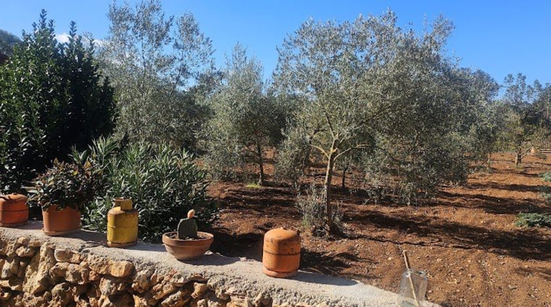 Illes Balears - Algaida - 3460m2
