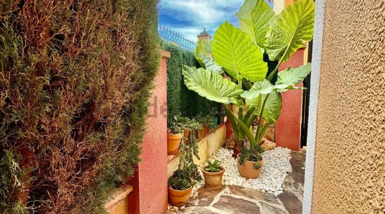 Islas Baleares - Tolleric - 110m2