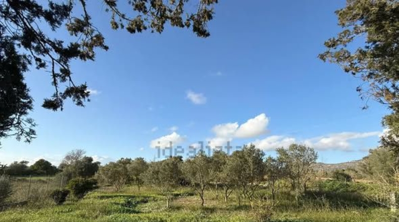Islas Baleares - Lluchmayor - 1700m2
