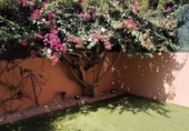 Detached villa with land for sale in Llucmajor ref: TR372573 photo