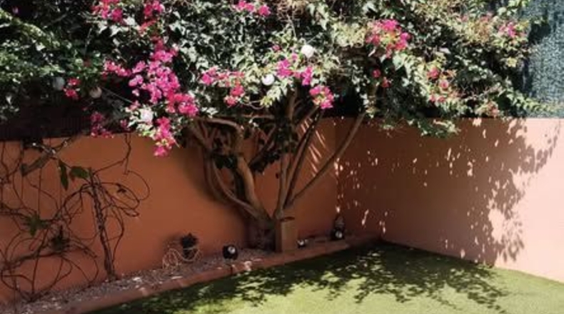 Islas Baleares - Lluchmayor - 154m2