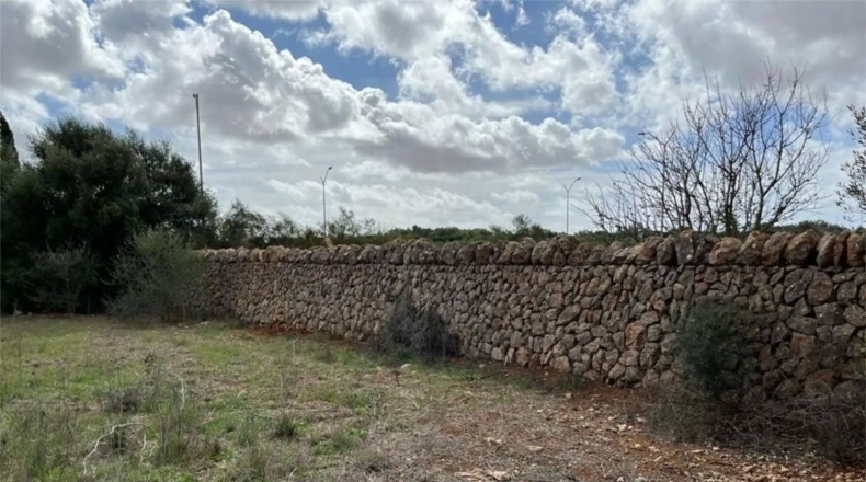 Islas Baleares - Lluchmayor - 19700m2