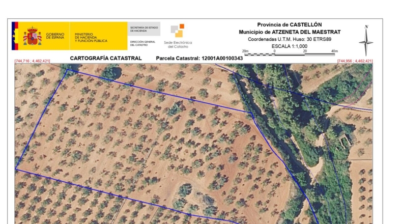 Castellón - Adzaneta - 17151m2