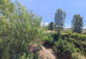 Xalet independent amb terreny en venda a Calvarrasa de Abajo ref.: TR187222 foto