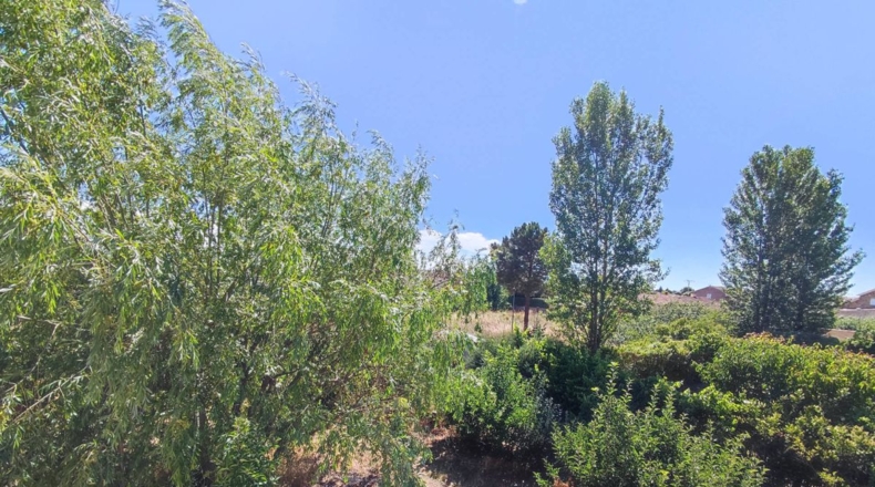 Salamanca - Valdecarretas - 1000m2
