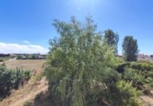 Xalet independent amb terreny en venda a Calvarrasa de Abajo ref.: TR187222 foto