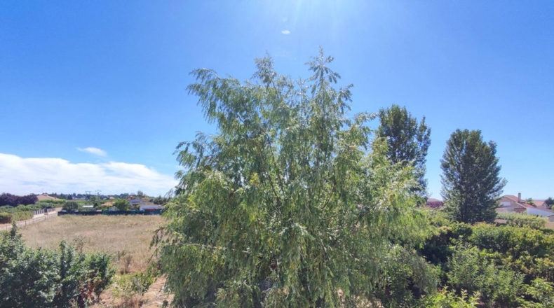 Salamanca - Valdecarretas - 1000m2