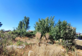 Foto 19