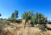 Xalet independent amb terreny en venda a Calvarrasa de Abajo ref.: TR187222 foto