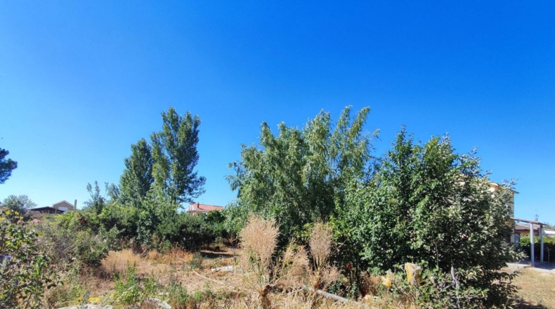 Salamanca - Valdecarretas - 1000m2