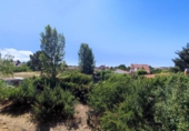 Xalet independent amb terreny en venda a Calvarrasa de Abajo ref.: TR187222 foto
