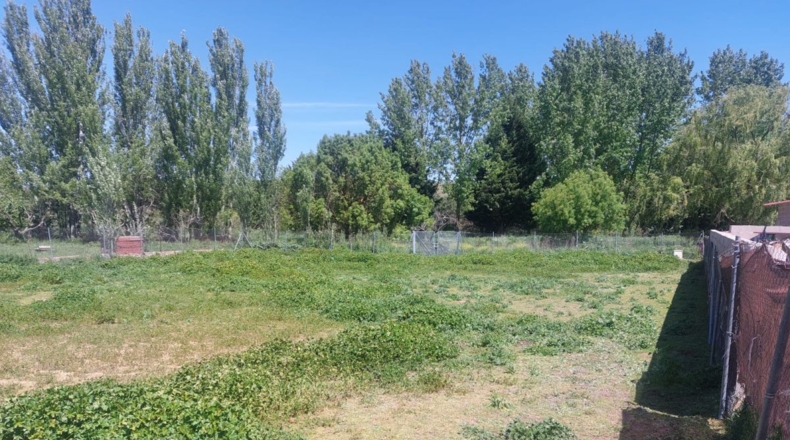 Salamanca - Urbanización Los Guijos - 1138m2