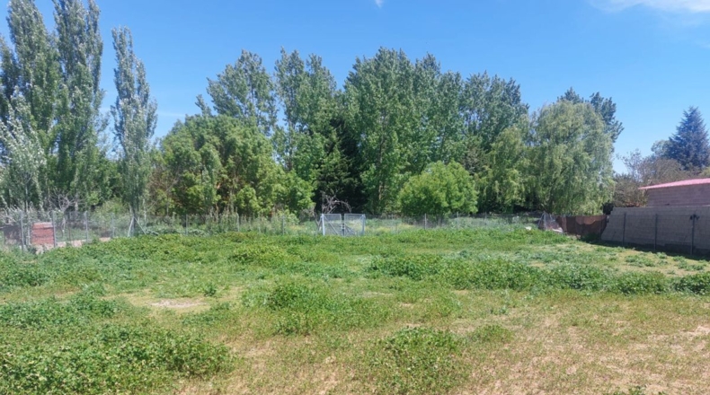 Salamanca - Urbanización Los Guijos - 1138m2
