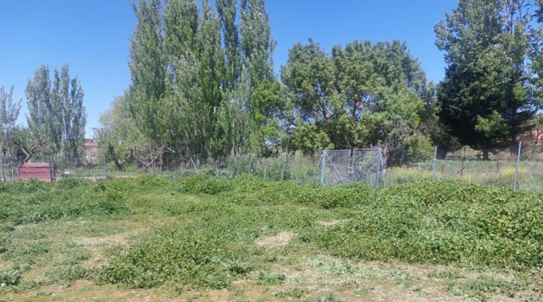 Salamanca - Urbanización Los Guijos - 1138m2