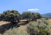 Finca rústica en venta en Navalperal de Tormes ref: TR186630 foto