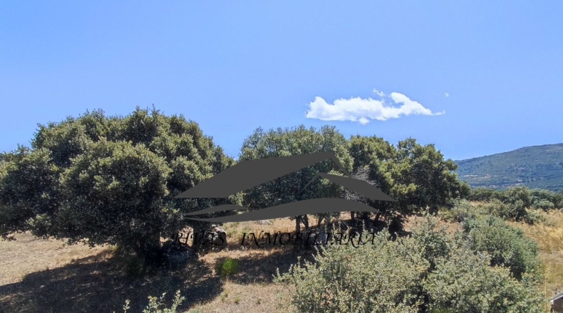 Ávila - Navalperal de Tormes - 2684m2