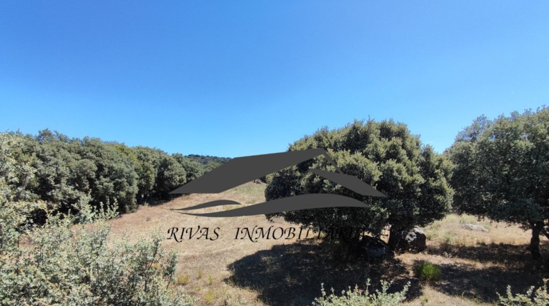 Ávila - Navalperal de Tormes - 2684m2