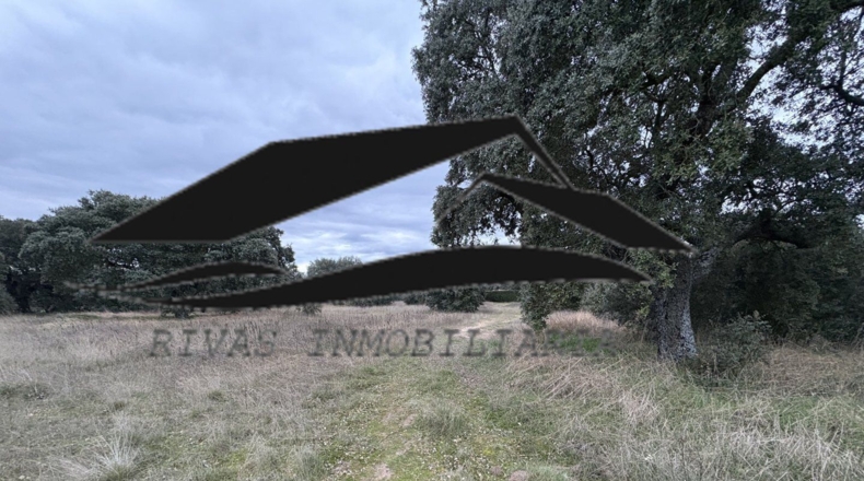 Salamanca - Buenavista - 1613m2