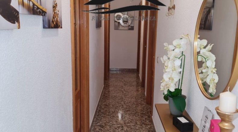 Salamanca - Cepeda - 207m2