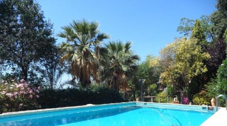 Castellón - Borriol - 976m2