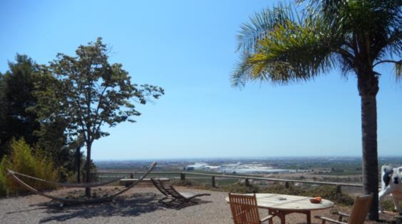 Castellón - Borriol - 976m2