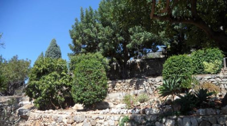 Castellón - Borriol - 976m2