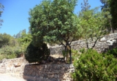 Xalet independent amb terreny en venda a Borriol ref.: TR188257 foto