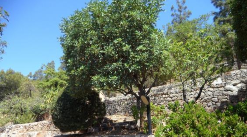 Castellón - Borriol - 976m2