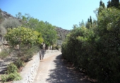 Xalet independent amb terreny en venda a Borriol ref.: TR188257 foto