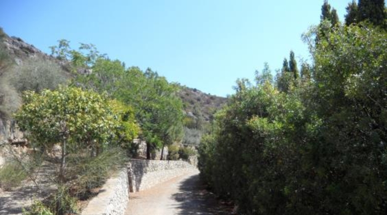 Castellón - Borriol - 976m2