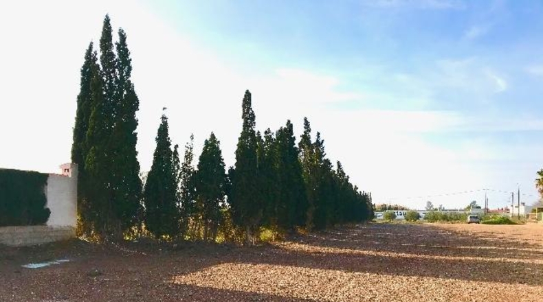 Castellón - Nules - 988m2