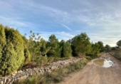 Terreny no urbanitzable en venda a Ribesalbes ref.: TR109767 foto