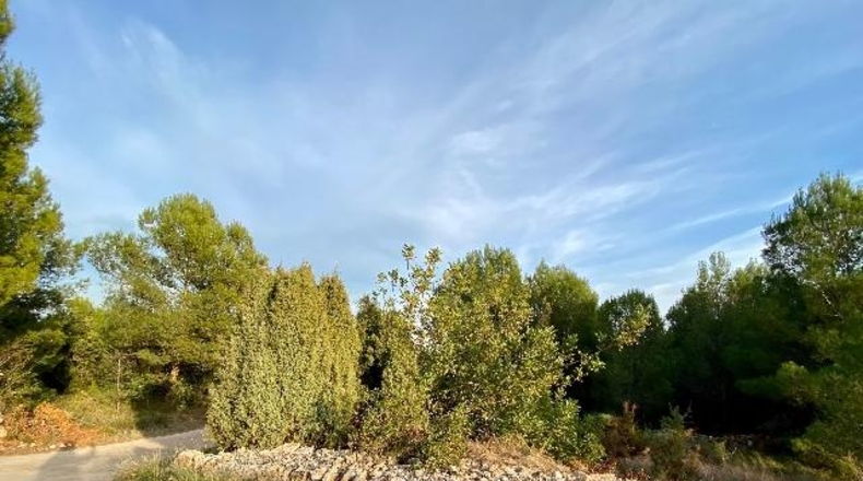 Castellón - Ribesalbes - 12000m2
