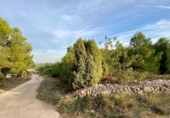 Terreny no urbanitzable en venda a Ribesalbes ref.: TR109767 foto