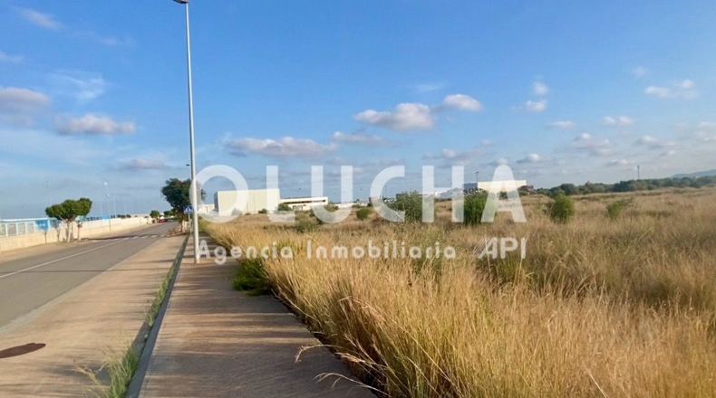 Castellón - Onda - 15000m2
