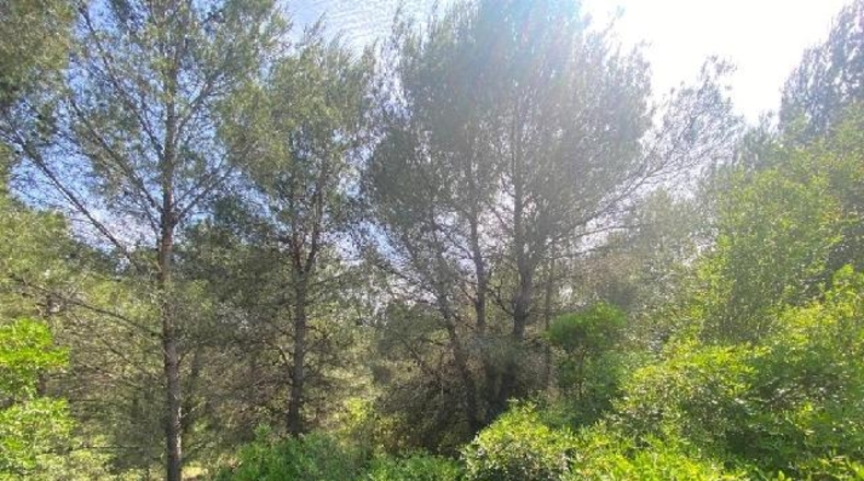 Castellón - Onda - 18843m2