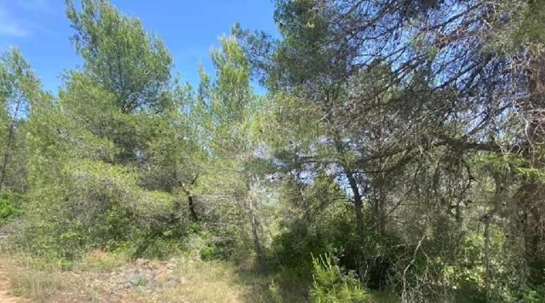 Castellón - Onda - 18843m2