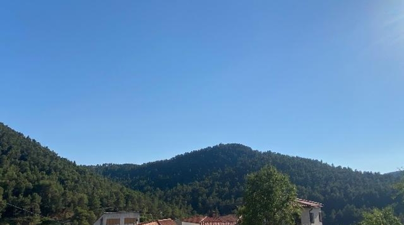 Castellón - Pavías - 429m2