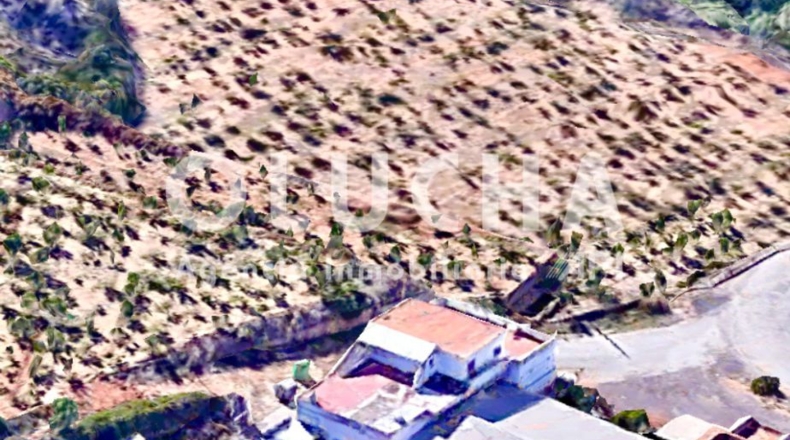 Castellon - Onda - 23000m2
