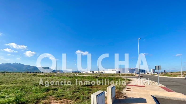 Castellón - Nules - 8525m2