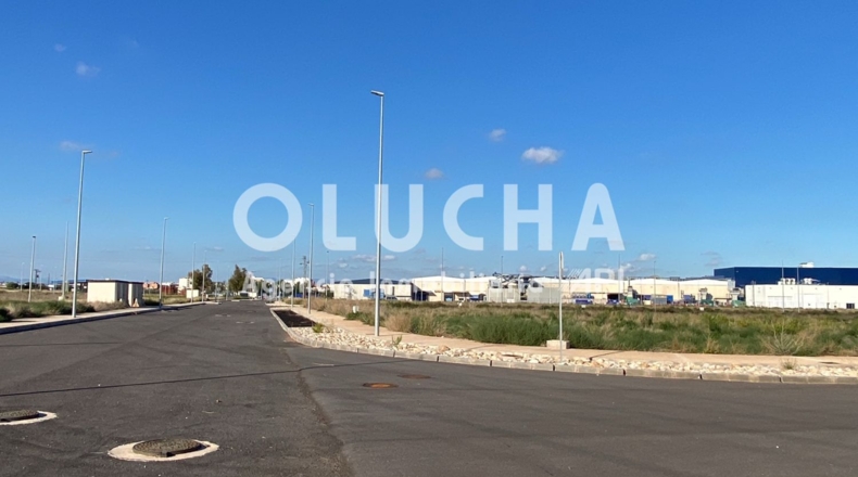 Castellón - Nules - 17050m2