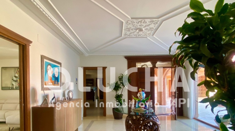 Castellón - Borriana - 2200m2