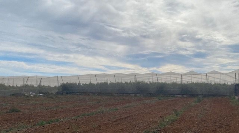 Castellón - Onda - 9300m2