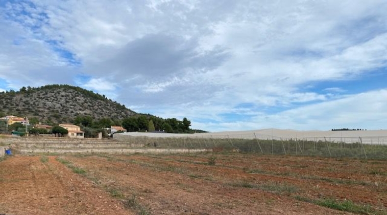 Castellón - Onda - 9300m2