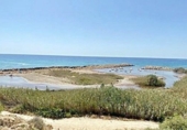 Отдельно стоящий дом с участком на продажу в городе El Campello. Фото
